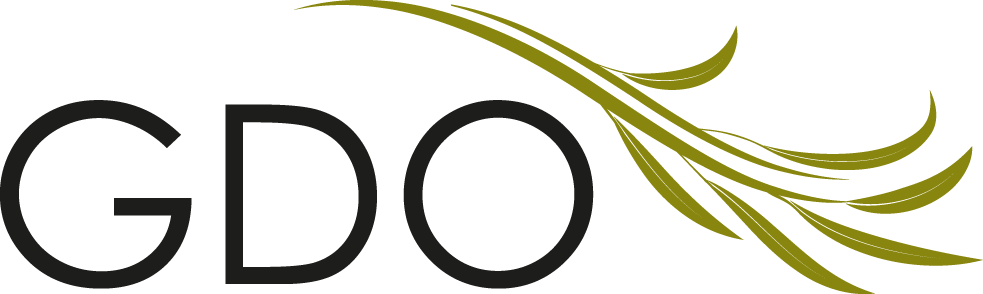 GDO International logo